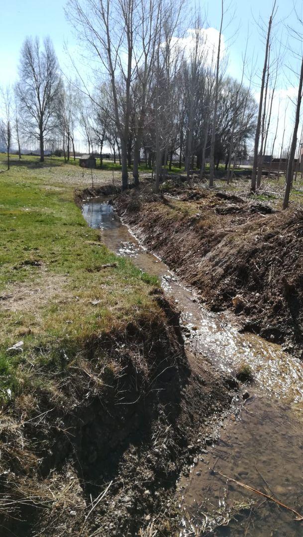 LIMPIEZA ARROYO MARZO 2019