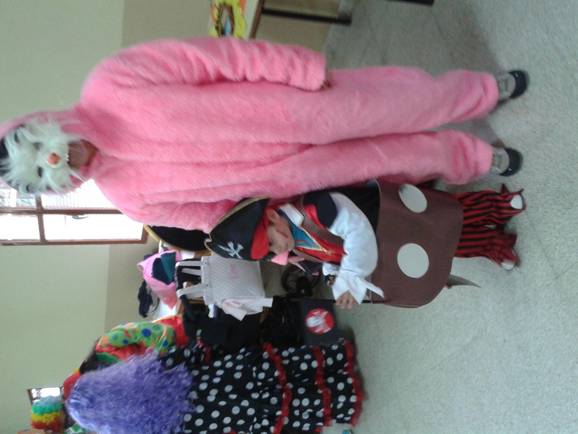 Carnavales 2015